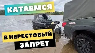 катаемся в нерестовый запрет истр вод