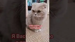 Я Вас люблю, но я предвижу... 