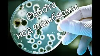 Работа над ошибками