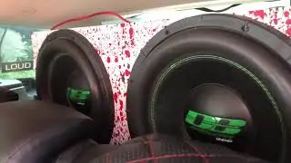 DB Sa 305 на низах