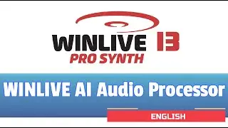 Winlive Pro Synth 13 - WINLIVE AUDIO PROCESSOR (English)