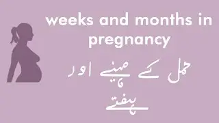 Week and months of pregnancy explained (Urdu/Hindi)