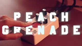 My FAVORITE fuzz pedal for synths and drum machines | GVN Peach Grenade Fuzz