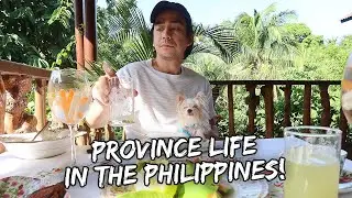 What It's Like Moving To The Province Out Of The City - Aug. 8, 2021 | Vlog 