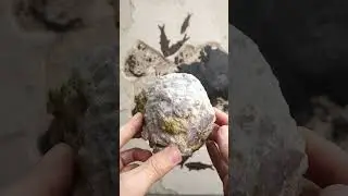 How to Find Agates (AGATE IDENTIFICATION) #shorts