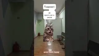 а у вас в школе есть медпункт?💥 