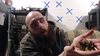Solo Live Chat #1: Covid Who? (Thanks Obama)