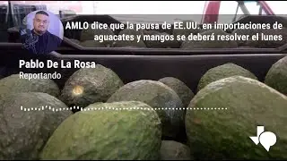 AMLO dice que la pausa de EE.UU. en importaciones de aguacates y mangos se deberá resolver el lunes