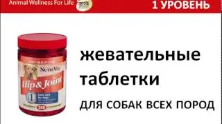 NUTRIVET - профессиональные добавки для собак и котов
