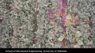 Machine Learning for Real-Time Weed Detection
