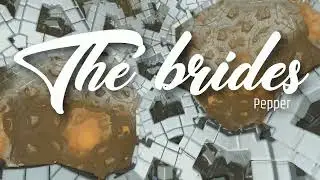 🔸🔶The brides🔶🔸