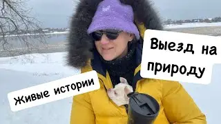 Пропала подруга. Выбрались с собаками на природу.