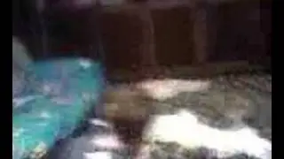 basement brawls