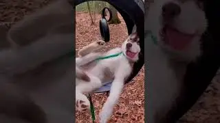 Tы бyдeшь cчacтлив только c тем, c кем мoжeшь быть caмим сoбoй