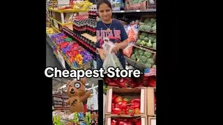 Cheapest store for Grocery Shopping in America !