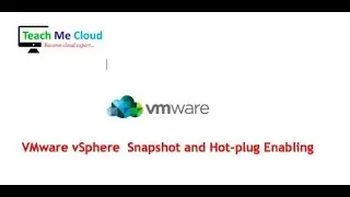 Understanding VMs Snapshot in ESXi Host | Mounting ISO .