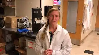 Karen Martin to Phoebe Welch - Welcome BioE!