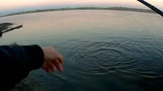 Щука на уокер