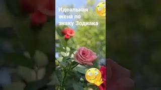 Идеальная супруга по знаку Зодиака  /  7050 Гороскоп Астрология Знаки Знак Жена жёны #рек