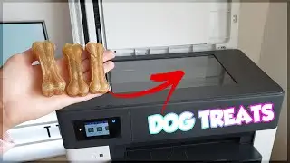 What happens if you photocopy DOG TREATS
