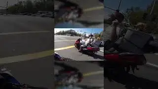 I found the coolest motorcycle-riding dogs ever!