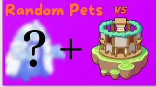 Battling in the duel stadium w/ randomly generated pets