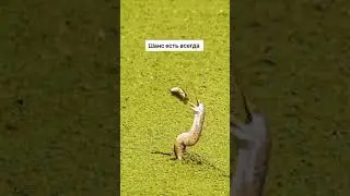 Борись до конца