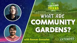 What Are Community Gardens? - Extended