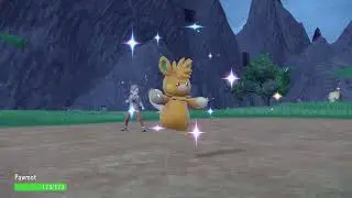 Terapagos-Tera doesn't revert to Baby on faint, but Terapagos-Stellar does. Ogerpon-Tera reverts