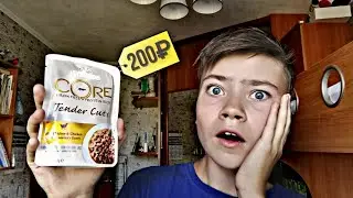КУПИЛ КОШКЕ САМЫЙ ДОРОГОЙ КОРМ! **её реакция**