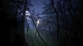회사로부터 휴가를 받아 숲으로 갔다 [Forest 6174]