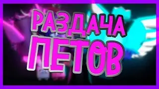 раздача петов в pet simulator x