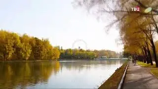 ТВ-центр заставка 