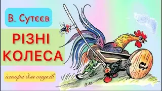 В. Сутєєв. РІЗНІ КОЛЕСА. /Для малюків 1+/Мова:Українська/