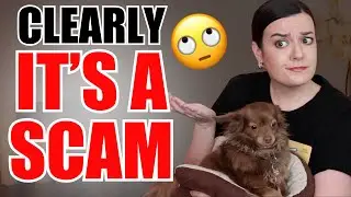How to Tell if You're Getting Scammed by a Vanity Publisher