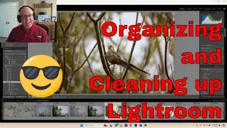 5 Tips For A Tidy And Efficient Adobe Lightroom Workflow