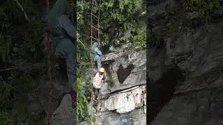 honey hunting 