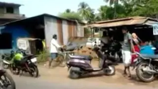 Гоа  Джус центр в Чапоре, Арамболь