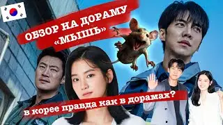 МЫШЬ - он спаситель или психопат? | что особенного на полетах в Сеул? | так ли сказочно в Корее?