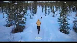 Recreational Trails | Goldstream Valley, Alaska
