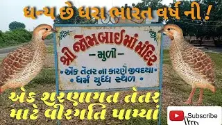 Jombai maa muli village Gujrat / Vir Rajputana historical place #jombaimaa #muli #rajput #gujarat