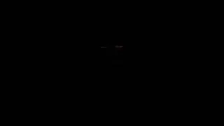 tiger vs kimtaehyung
