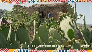 Benvenuti in Open Market Averna - Vincente Delicacies