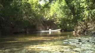 The Natural Method