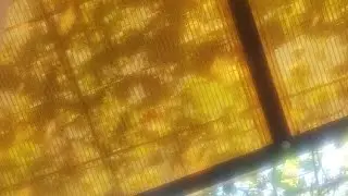 стрим