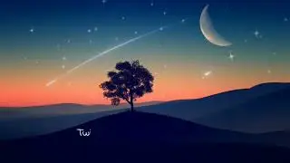 Twinkle Twinkle Little Star Lyrics
