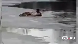 Rescued a dog from icy water
