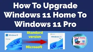How to upgrade windows 11 home to windows 11 pro - No data loss