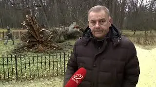 Film Federation 2021 32 КУЛЬТУРНОЕ ОБОЗРЕНИЕ