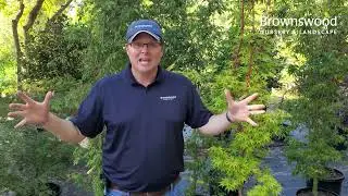 Discover the Benefits of Fall Planting in the Lowcountry